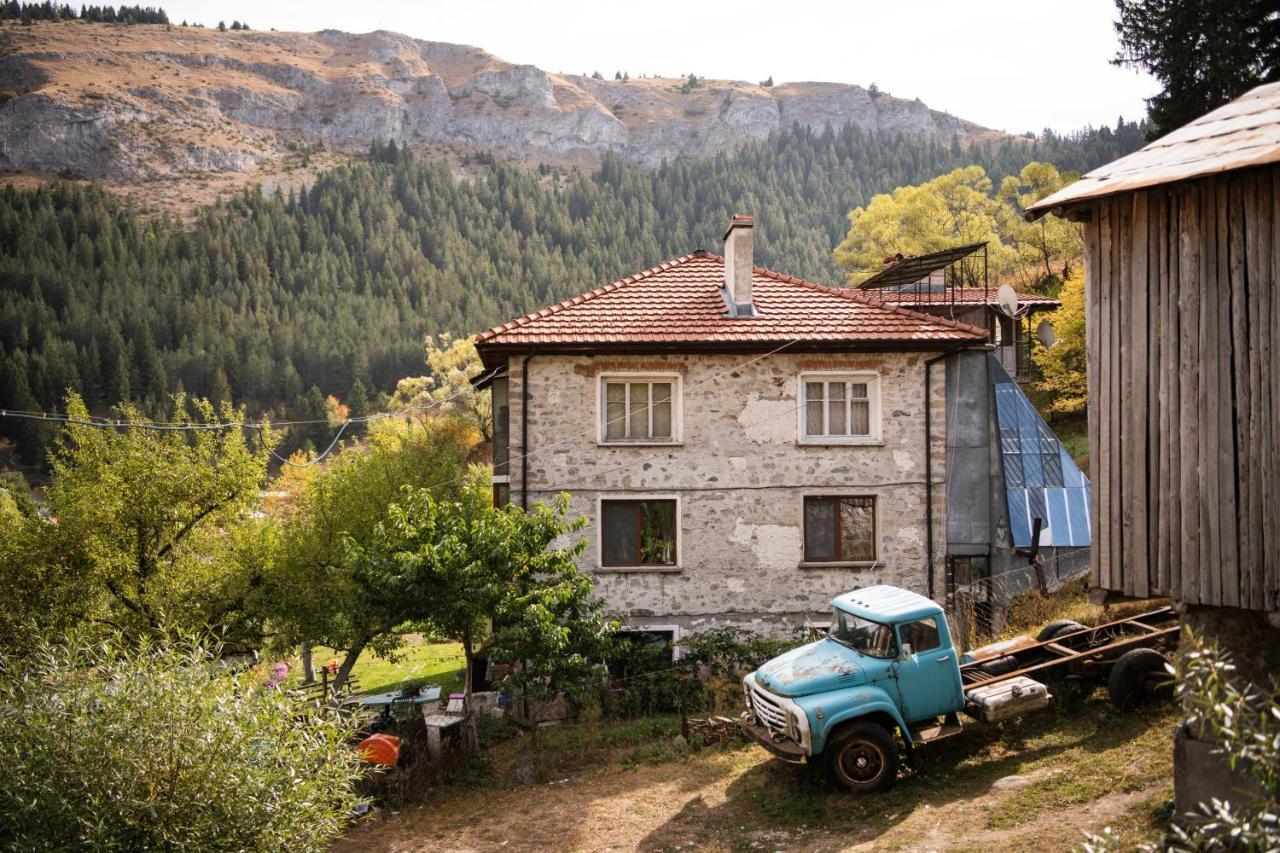 Вилла Къща До Гората Триград Экстерьер фото